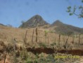 /album/a5%c2%ba%20trilha%20ciclistica%20de%20monte%20azul/sam-6374-1600x1200-jpg/